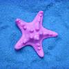 Beach Ocean Underwater Coral Simulation Starfish Decoration Fish Tank Decoration Ornaments Aquarium Decoration Accessories