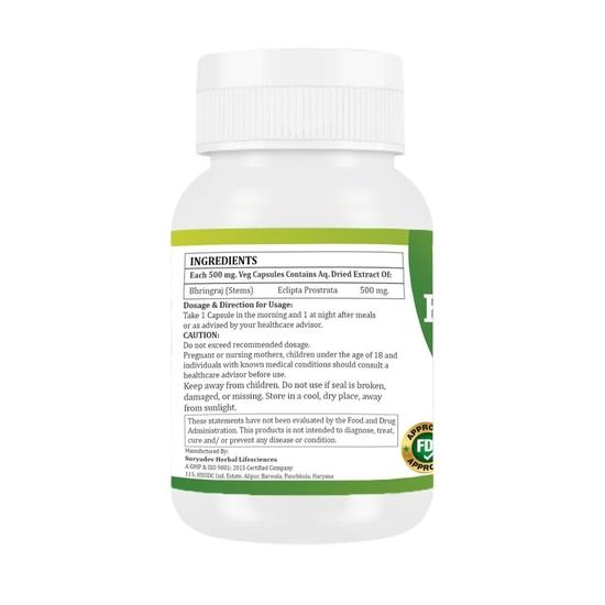 Morsan Healthcare NEEM Capsules – 60 Veg Capsules | Pure Azadirachta Indica Extract | Natural Plant-Based Herbal Supplement | Pack of 1