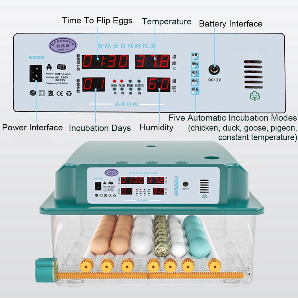36/16/12 инкубатор для яиц, брудер, инкубатор для птиц, перепелов, цыплят, инкубатор для птиц, инкубатор, цифровой автоматический инструмент для инкубации на ферме