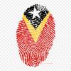 Finger Print Flag Of Haiti Haitian Creole Fingerprint Iron On Heat Transfer Printing Vinyl Patches Sticker for Clothes DIY Appliques Washable Patches