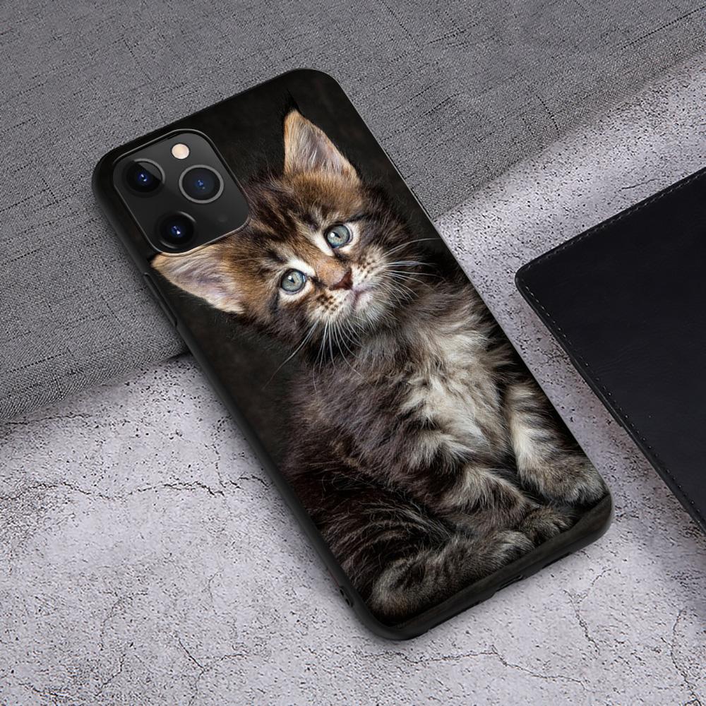 Чехол T145 с изображением кота мейн-куна для iPhone 13 12 Mini 11 Pro XS Max XR X 8 7 6 6S Plus 5 5S SE 2020