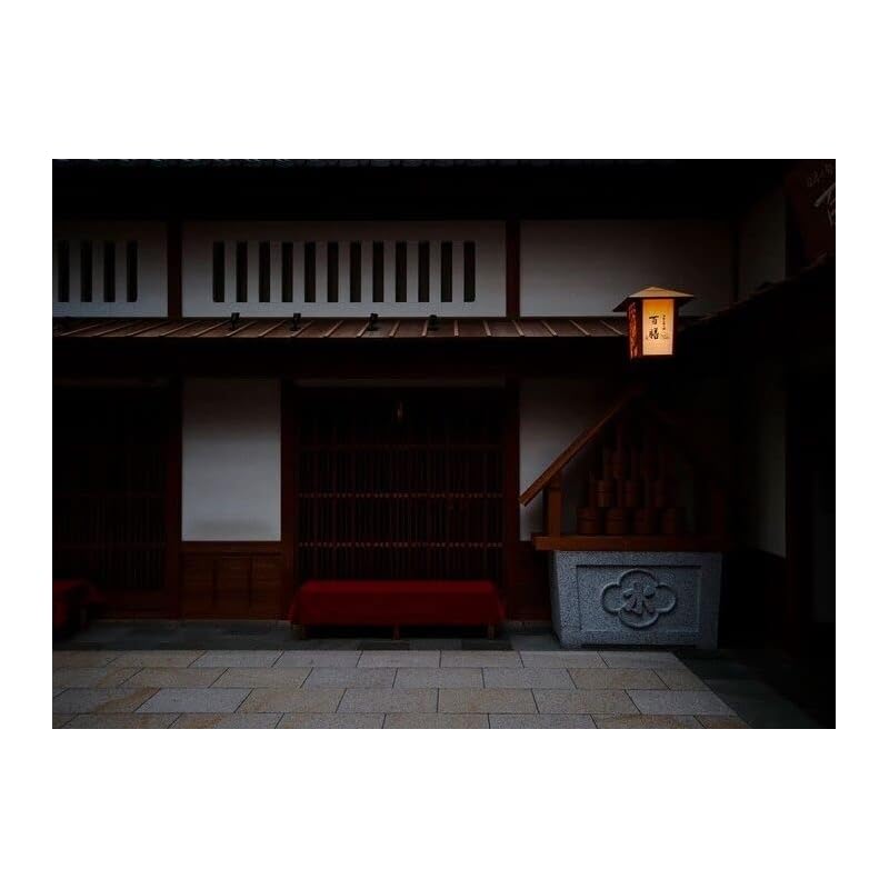 Tokina Tokina wide angle zoom lens atx-m 11-18mm WE F2.8 E white edition for Sony E APS-C format compatible 641323