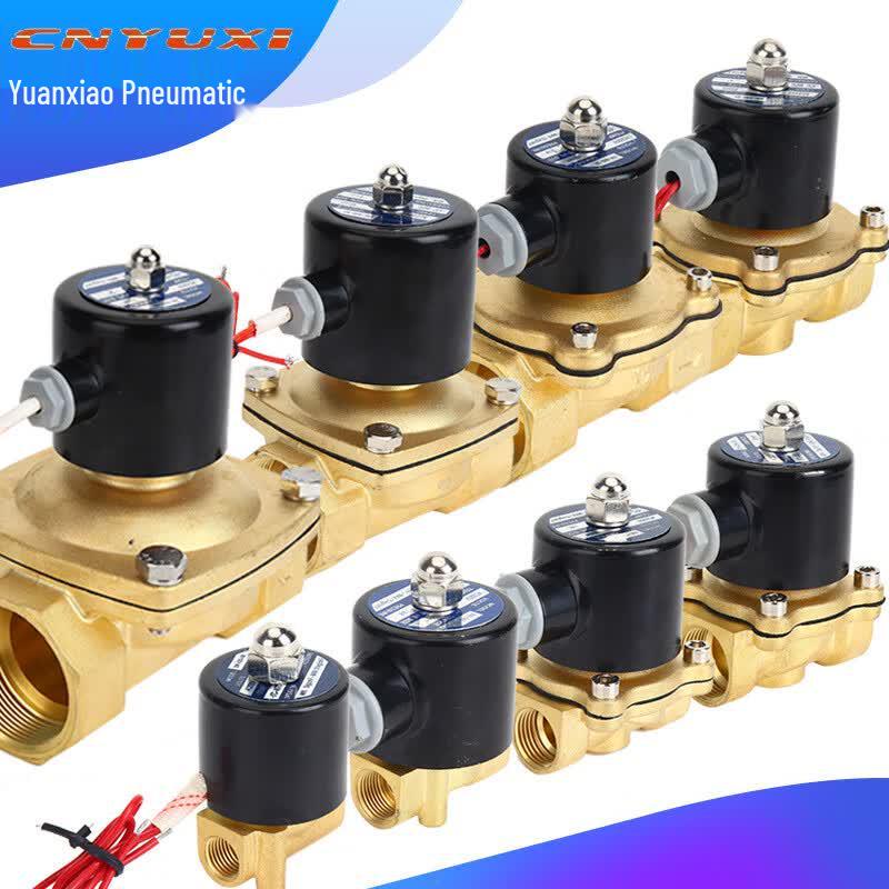 Zhong Xiong AC220V Полностью медный электромагнитный клапан воды
