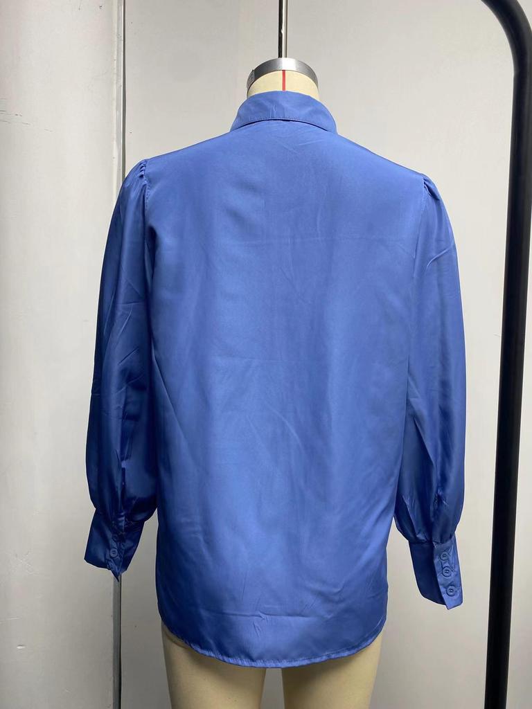 Women's Long Sleeve Ruched Stand Collar Lantern Sleeve Shirt