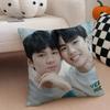 Thai TV drama BBad Buddy Series Cushion Cover Throw Pillow Cover Hidden Button Durable Polyester Chair Cushion