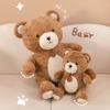 Bear Dolls Teddy Bear Plush Toys Accompanying Pillows Hugging Dolls