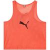 Puma Bib Team Vest