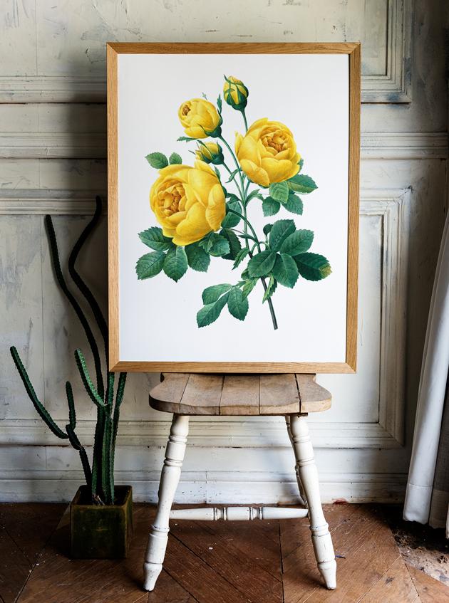 Постер винтажная желтая роза