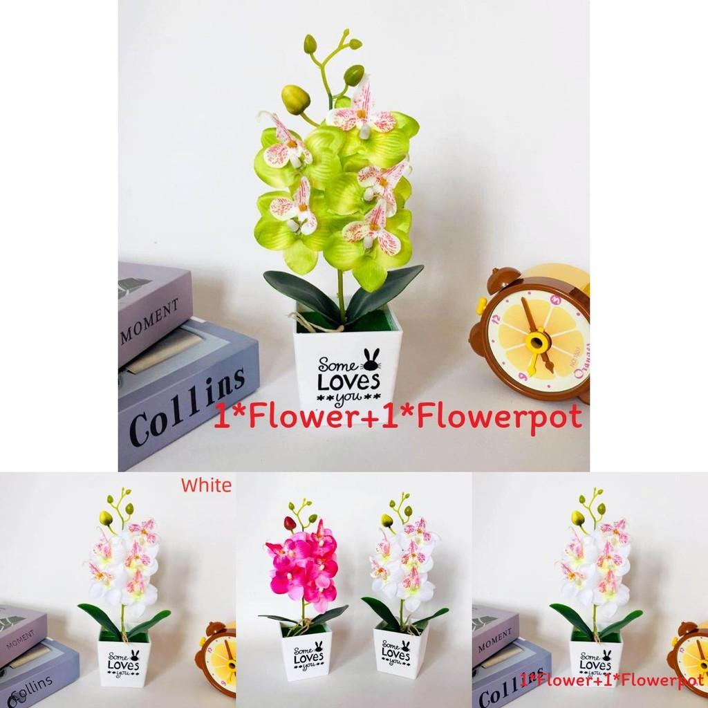 Faux Butterfly Orchid Potted Plant With Injection Molding For Living Room Decor