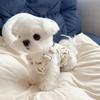 Pet Clothes Dog Spring and Summer Strap Skirt Can Be Towed Small Dog Yorkshire Than the Bear Maltese Fiber Cute