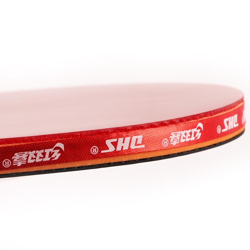 Double Happiness DHS Type II Table Tennis Set: 2 Beginner Rackets (Straight & Penhold Grips) + 1 Ball