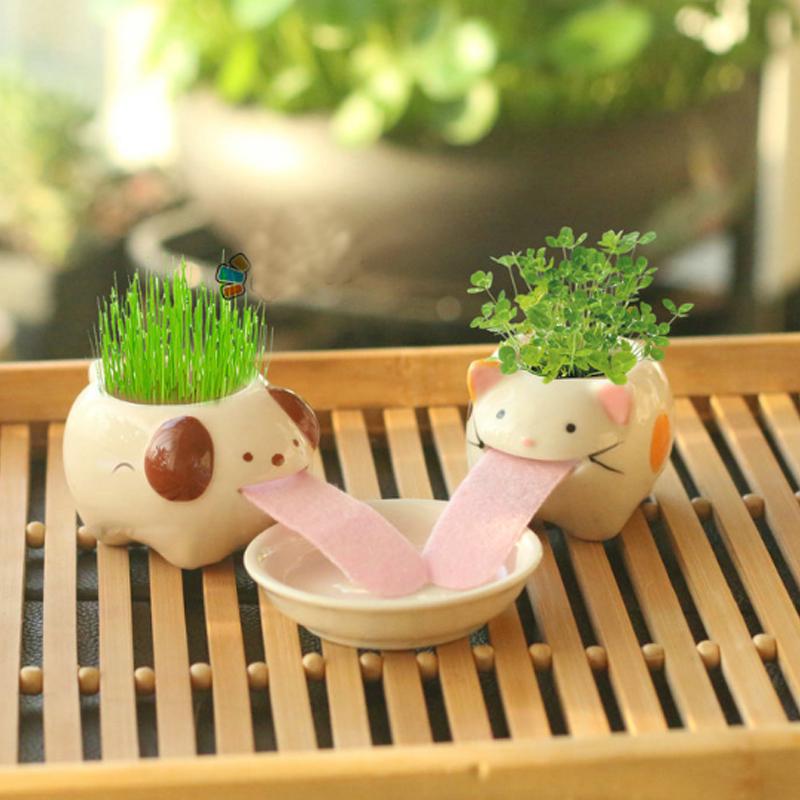 Мини-набор бонсай с животными, самополивающийся горшок, керамический перопон для выращивания, украшение для питья Tougue