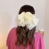 Oversize Hair Bow Girls Hairpin For Women Net Yarn Bowknot Ribbon Scarf Hair Clips Princess Wedding Hair Accessories Spring Clip