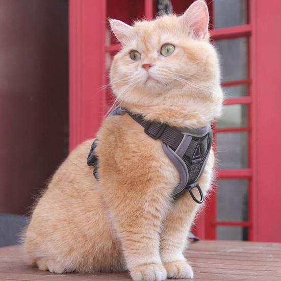 Yousheng Cat Harness And Leash Reflective Strips Jacket Breathable Adjustable Vest Harness Escape Proof Easy Control Leash for Cats