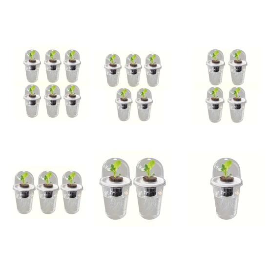 Станция для размножения растений Горшок для семян Прозрачная чашка с рассадой Стартер для проращивания семян Гидропонная корзина Купольная крышка