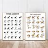 Funny Cute Cat and Dog Language Nordic Posters and Prints Animal Training Knowledge Wall Art Canvas Painting Pictures Home Decor No Frame