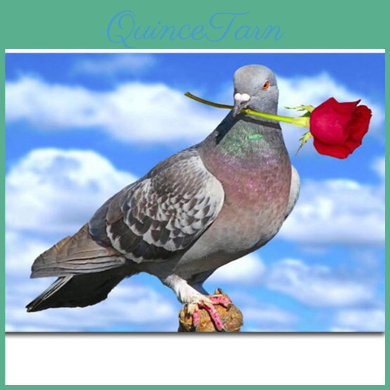 Diamond Painting 5d Full Diy Cartoon Animal Pigeon Embroidery Cross Stitch Home Decor Handmade Gift