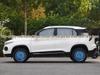 Декоративная стальная колпак ступицы колеса 16" для Venucia D60/D60EV
