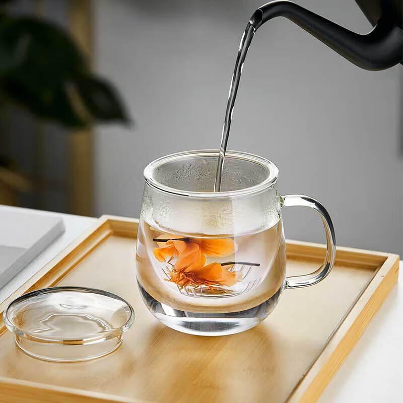 520ml Heat-Resistant Glass Tea Infuser Mug with Lid and Handle
