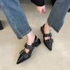 Fashion Pointy Mary Jane Shoes for Women 2025 Summer Model with Skirt Small Leather Shoes Retro Chunky Single Shoes for Women