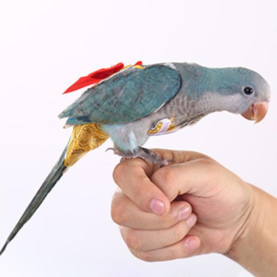Yousheng Bird Diaper Printing Dress-up Vintage Parrot Bird Nappy Clothes for Festival