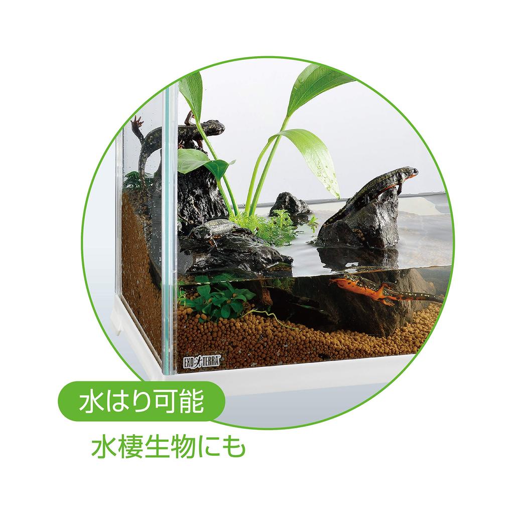 EXOTERRA GEX EXOTERRA Reptile White 300 High Small Reptile Glass Cage White Frame x D20 x Клетка для разведения W31.6 H28.2cm Reptile/Amphibian