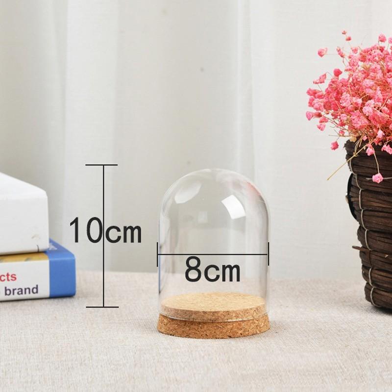 Glass Display Cloche Bell Jar Dome Flower Preservation Cover Wood Base DIY