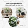 55cm Artificial Plant 12/18 Leaves Fern Plant Bundle Large Size Fake Palm Plant  Wall Decoration
