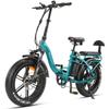 Hedatx S5  Adult Folding City Electric Bicycle 250W Motor 48V20Ah Battery 20 Inch Fat Tires Mountain E-Bike