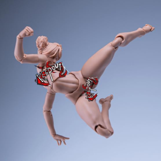 Масштабная женская фигурка Арт-модель Кукла с шаровыми шарнирами Гибкое тело для и Кастомизации 1/12 - Рисование, Коллекционирование, (Черная кожа)