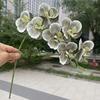 Moth Phalaenopsis Artificial Flowers Fake Orchid Plant Stems 7 Heads EVA Indoor Outdoor for Wedding Home Decor