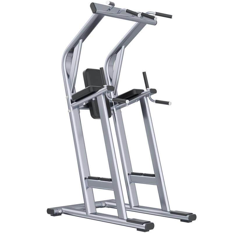 Yueji Tiger Home Pull-up and Dip Station