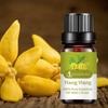 10ml Ylang Ylang Essential Oil Botanical Aromatherapy Shrink Pores Improve Skin Moisturizing Nourishing Oil Calm Mood Plant Aromatherapy Oil