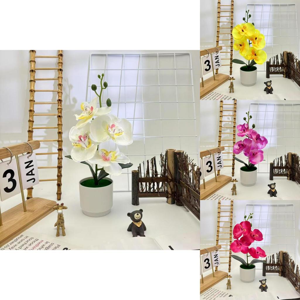 Butterfly Orchid Synthetic Flower With Silk And Plastic Materials For Indoor Events And Photography
