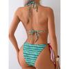 Watermelon Print Split Swimsuit with Black and White Dot Tie for Women, Two-piece Swimsuit Set