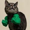2 шт. Костюм мускулистой руки кошки Кошачья шея рука с мышцами 3D-печать Косплей супергероя Питомец Пародийная игрушка Смешной реквизит для фото кошки Аксессуар