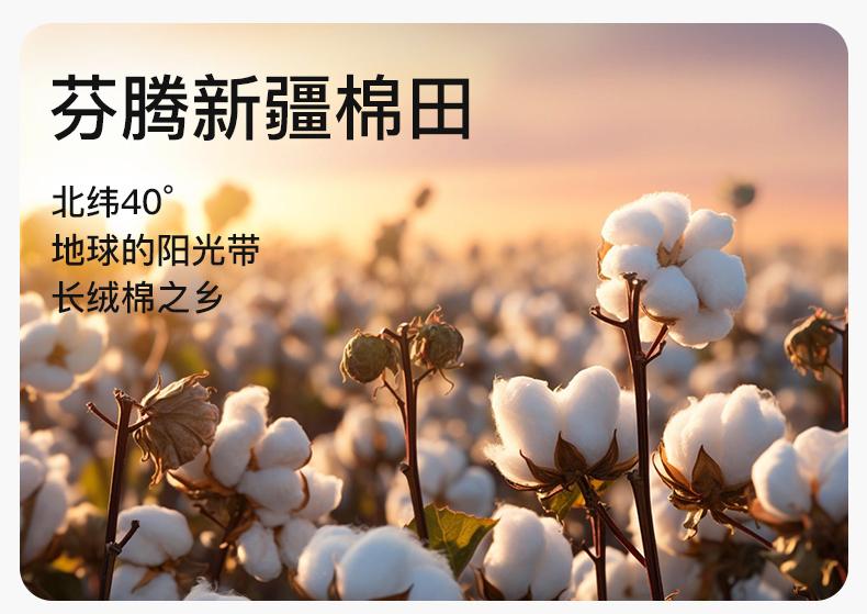 Fenteng [100% pure cotton] 40 count cotton home clothes, women's sleepwear, women's vest set, 26 summer new items