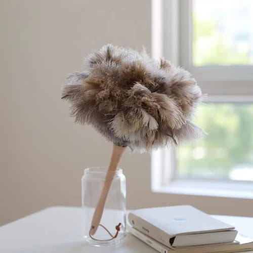 Ostrich feather duster, handy duster, anti-static, houseplant duster, ostrich feather