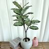 Ochrosia Maculata Jacq Tree Synthetic Greenery For Indoor Home Office Decoration And Photography