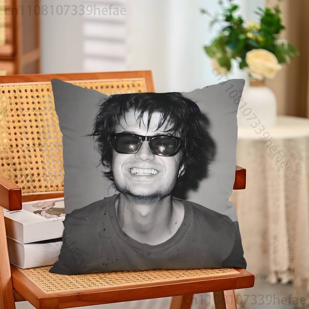JJoe Keery Singer Funny Pillow Case Antidustmite Pillowcase Invisible Zipper Silky Short Plush Sofa Cushion Cover