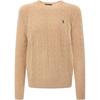 Polo Solid Color Long Sleeve Small Pony Embroidered Cable Knit Sweater Men Sweater Brown 710876762009