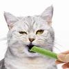 Natural Grass Cat Molar Rod Indoor Chewing Stick Chew Treat for Kitten Mouth Healthy Natural Cat Grass Indoor Pet Chew