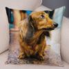 Mini Dachshund Cushion Cover Decor Pet Animal Pillowcase Sofa Home Children's Room Pillowcase