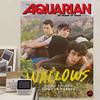 Wallows Мультяшный Гобелен Искусство Научная Фантастика Комната Домашний Декор Настенное Украшение Домашний Декор