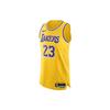 Мужская аутентичная майка Los Angeles Lakers Icon Edition Nike Dri-FIT Adv НБА DM6028-731