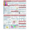 Карманный справочник ЭКГ Интерпретация ритма ЭКГ Двусторонняя карманная справочная карта Tri-Fold Study