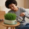 Prevent Overflow Hydroponic Planting Tray Removable Hydroponic Cat Grass Box  Cat Snacks
