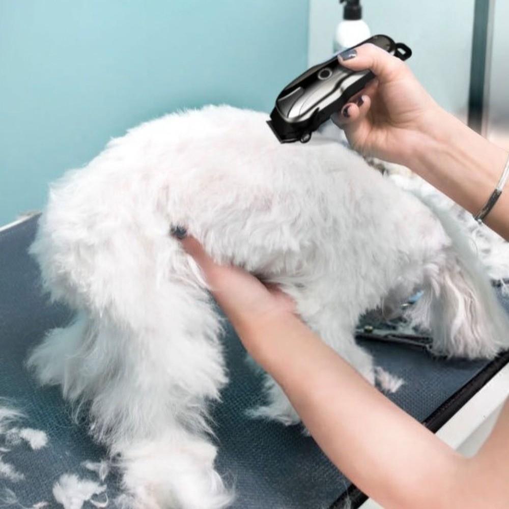 Cordless Electric Pet Clipper Low Noise Dog Hair Clippers Universal Dog Hair Trimmer Pet Salon