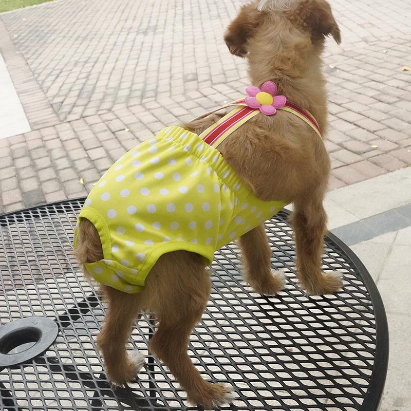 Washable Anti-Harassment Dog Physiological Pants – Teddy Pet Apparel