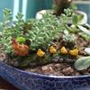 Gardening Landscape Moss Decor Miniature Hen Desk Ornaments Accessories For Decor